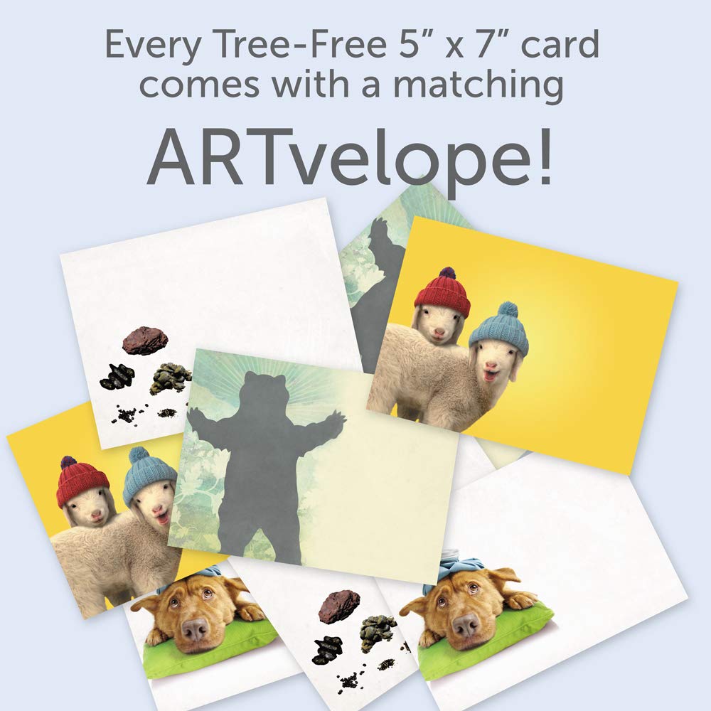 Amazon.co.jp: Tree-Free Greetings 楽しい気持ち すぐにお手頃 カード